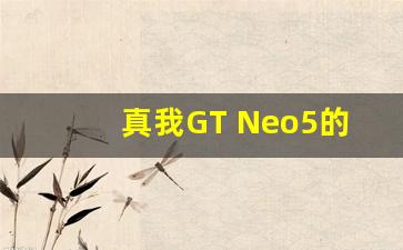 真我GT Neo5的拍照效果